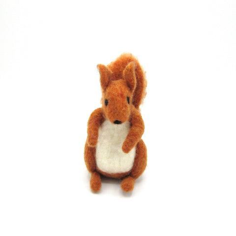 Woodland Squirrel - Needle Felting Kit - With Foam