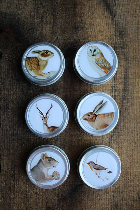 Forest Friends Mini Tin