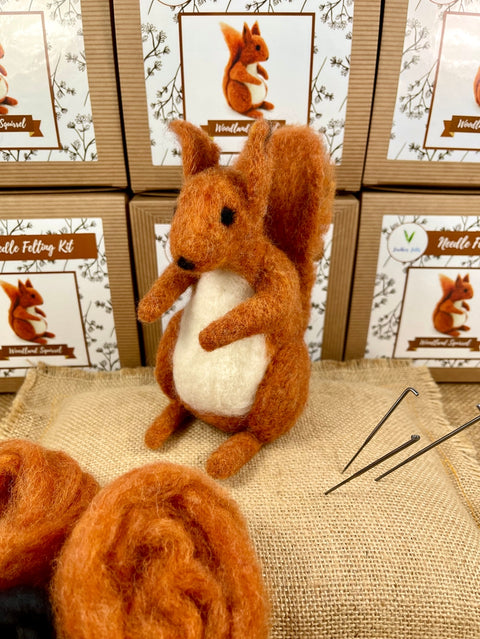 Woodland Squirrel - Needle Felting Kit - With Foam