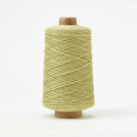 Beam 8/2 Cotton