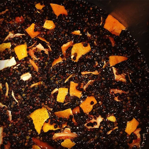 All About Elderberry with Lauren Peterson of White Deer Apothecary