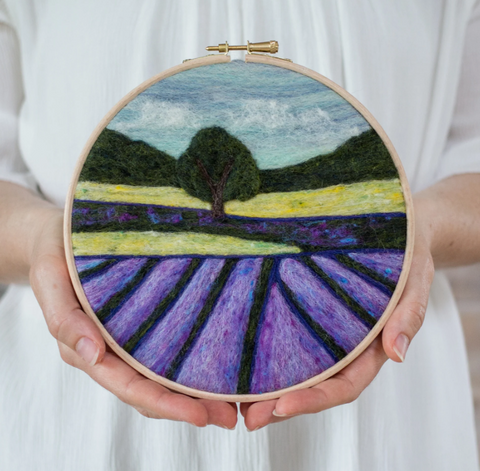 Lavender fields