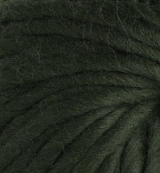 Crazy Sexy Wool
