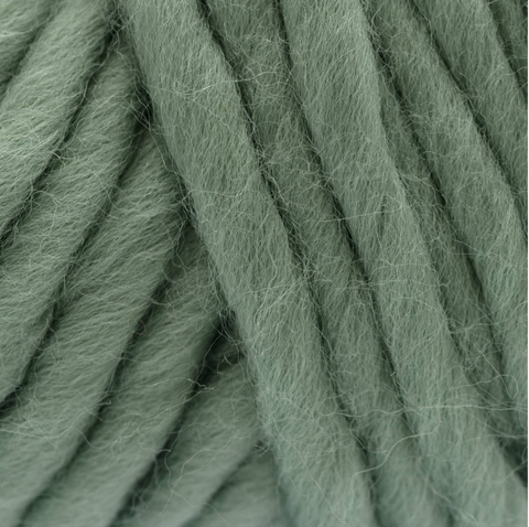 Crazy Sexy Wool