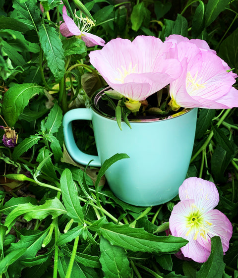 Herbal Tea Party with Lauren Peterson of White Deer Apothecary