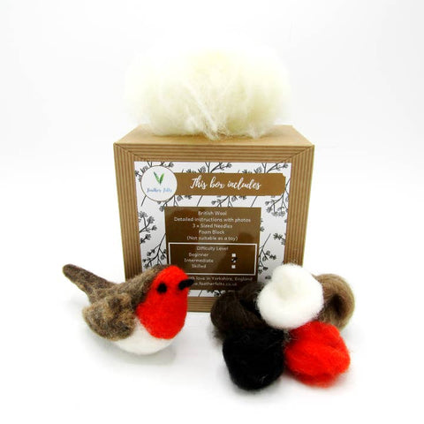Robin - Needle Felting Kit - With Foam