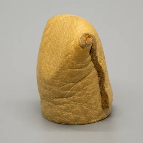 The Ugly Thimble