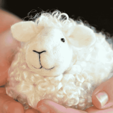 White Sheep Felting Kit