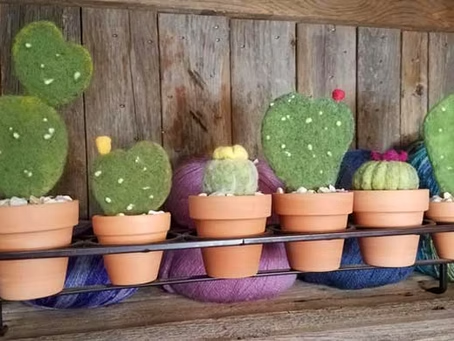 Needle Felting Cacti With Marti Swanson