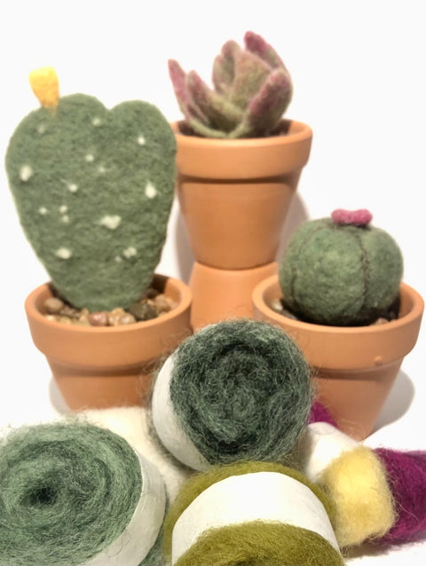 Needle Felting Cacti With Marti Swanson