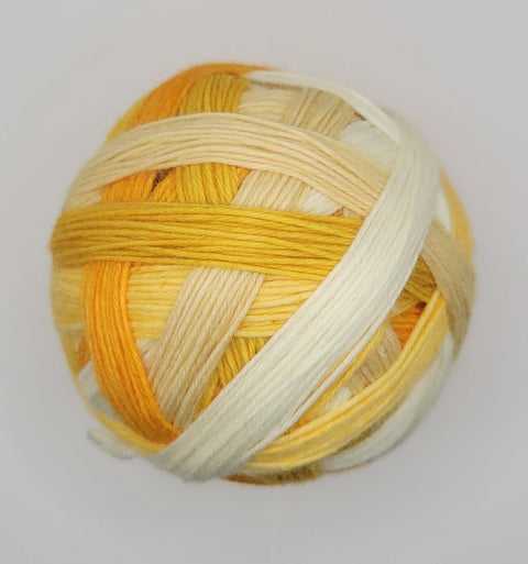 Finley, the Corgi with Cashmere