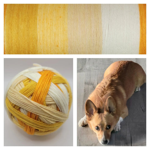 Finley, the Corgi with Sparkle