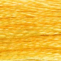 DMC Six-Strand Embroidery Floss