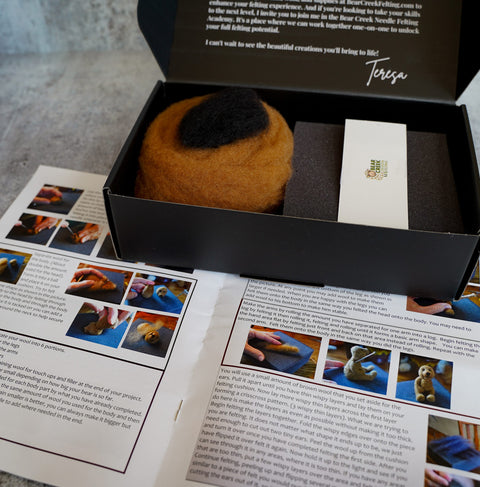 Bear Needle Felting Kit