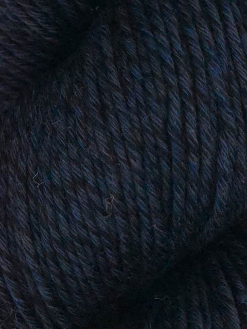 Araucanía (Alga)