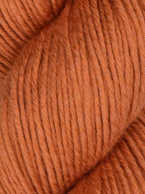 Araucanía (Alga)