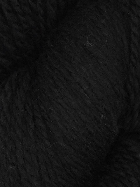 Elder Anatolian Merino