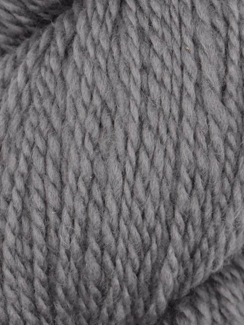 Elder Anatolian Merino