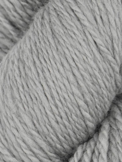 Elder Anatolian Merino