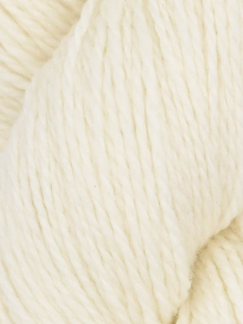 Elder Anatolian Merino