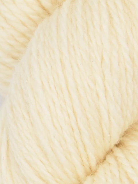 Elder Anatolian Merino