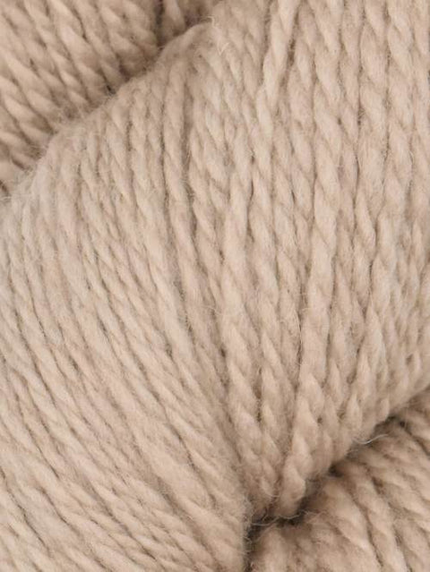 Elder Anatolian Merino