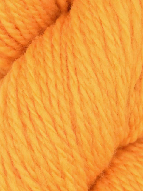 Elder Anatolian Merino