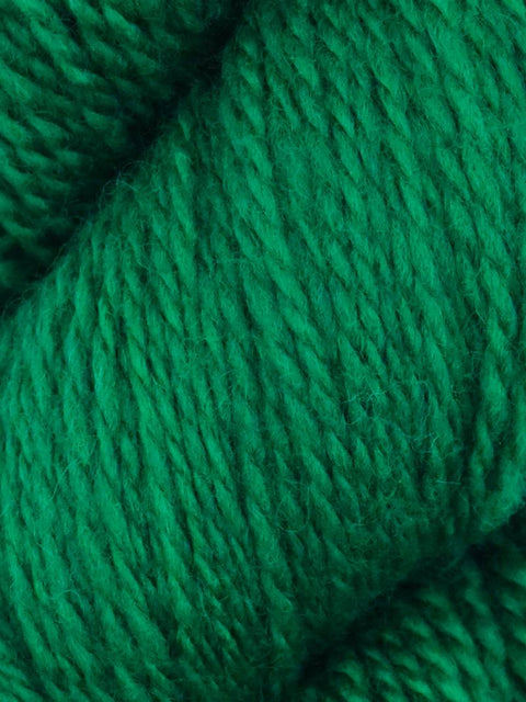 Elder Anatolian Merino