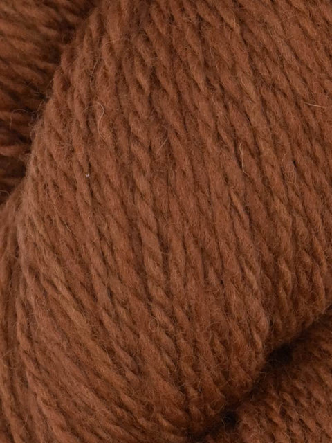 Elder Anatolian Merino