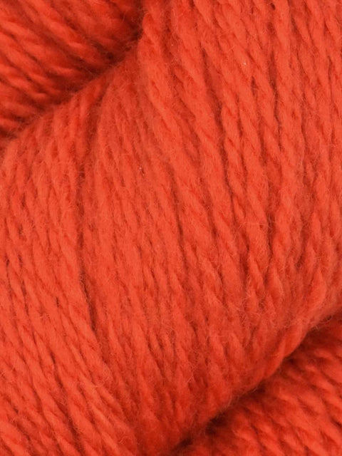 Elder Anatolian Merino