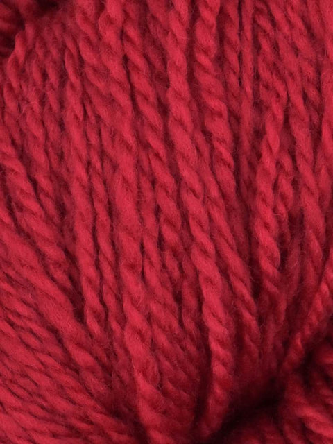 Elder Anatolian Merino