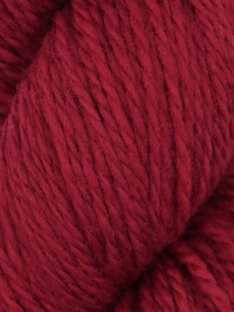 Elder Anatolian Merino