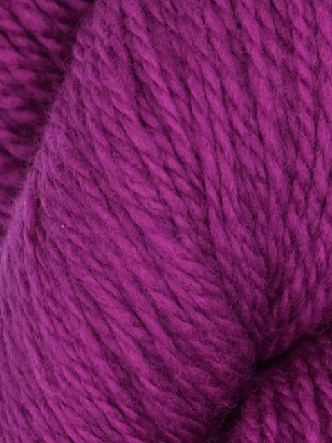 Elder Anatolian Merino