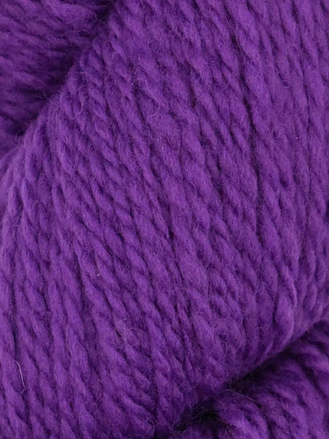 Elder Anatolian Merino