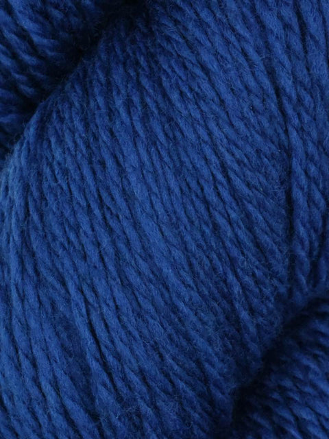 Elder Anatolian Merino