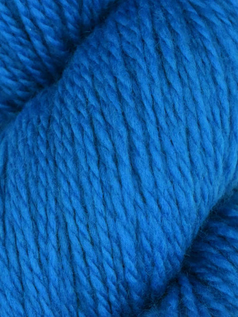 Elder Anatolian Merino