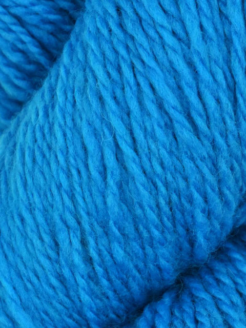 Elder Anatolian Merino