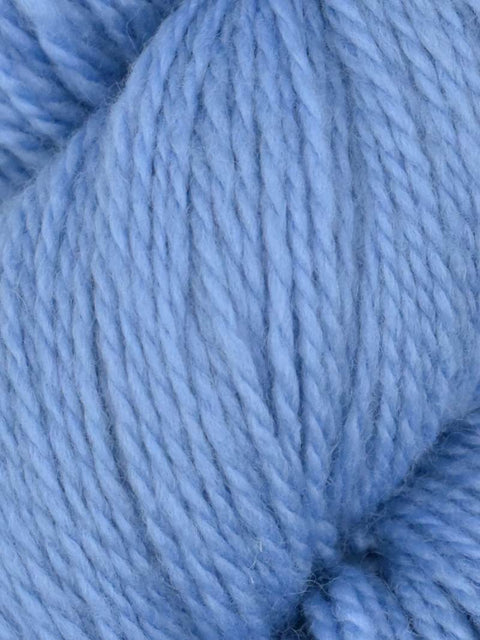 Elder Anatolian Merino