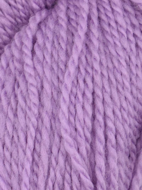 Elder Anatolian Merino