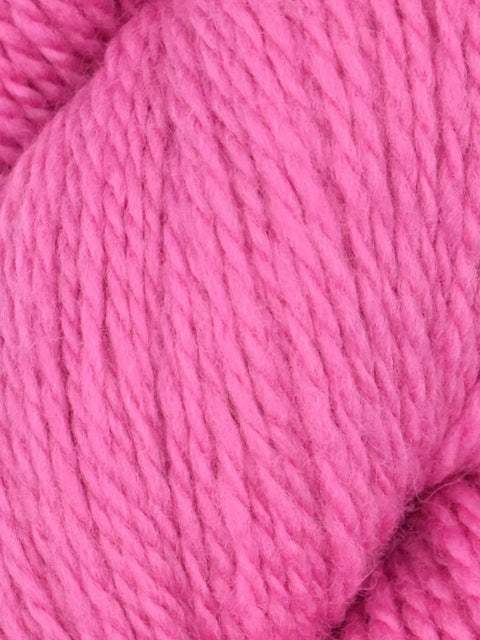 Elder Anatolian Merino