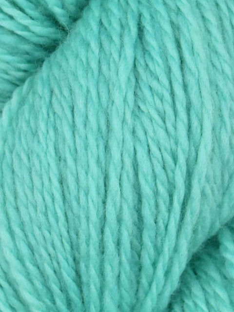 Elder Anatolian Merino