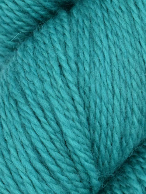 Elder Anatolian Merino