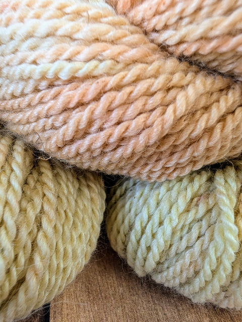 Blushing Toads - Alpaca - TRS-A106-WS-SK
