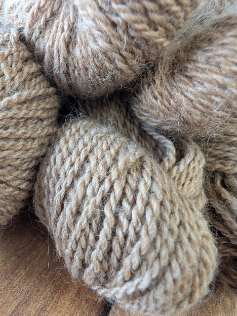 Cattails - Alpaca - TRS-A107-FG-SK