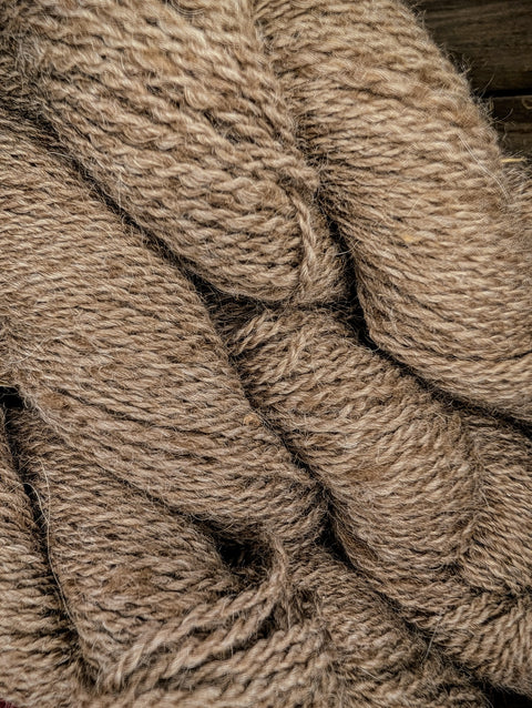 Cowboy Dan - Fingering - TRS-A169-FG-SK