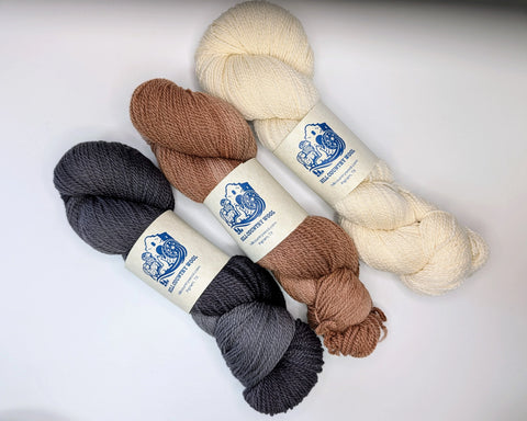 Hill Country Wool - DK - Merino