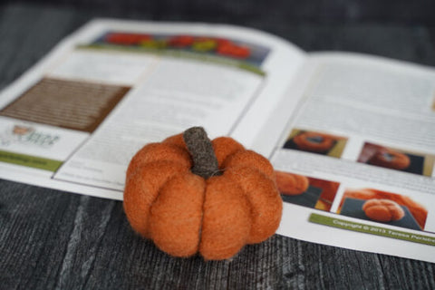 Pumpkin Needle Felting Kit