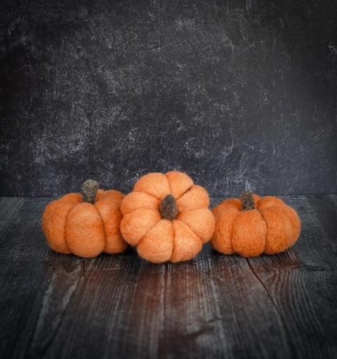 Pumpkin Needle Felting Kit