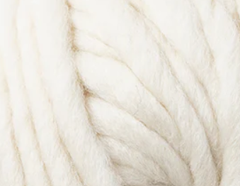 Crazy Sexy Wool
