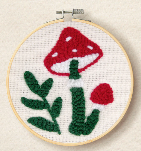 Learning punch needle kit